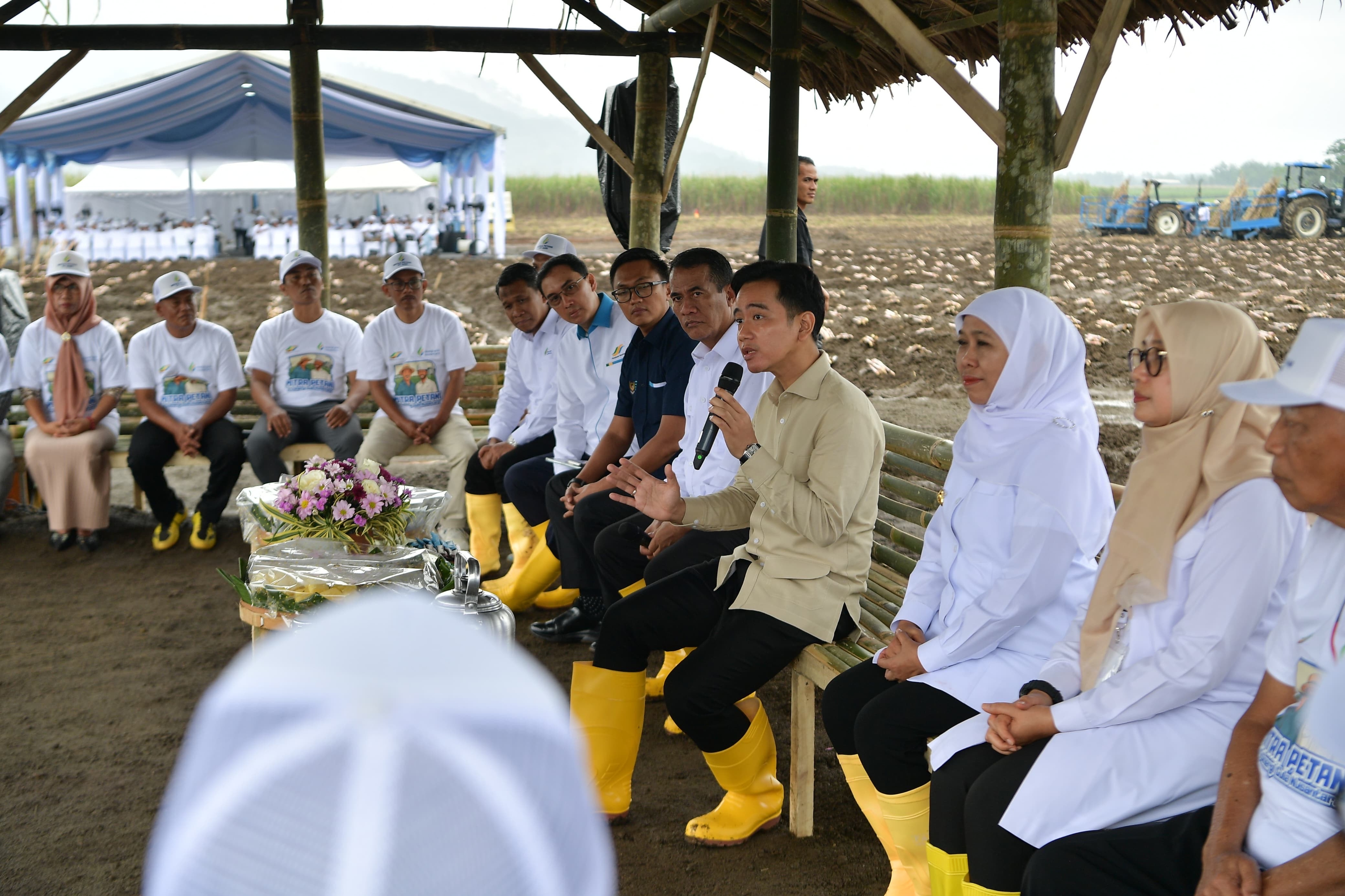 Pemerintah Kejar Target Swasembada Gula, Wapres: Paling Lambat Tercapai di 2027