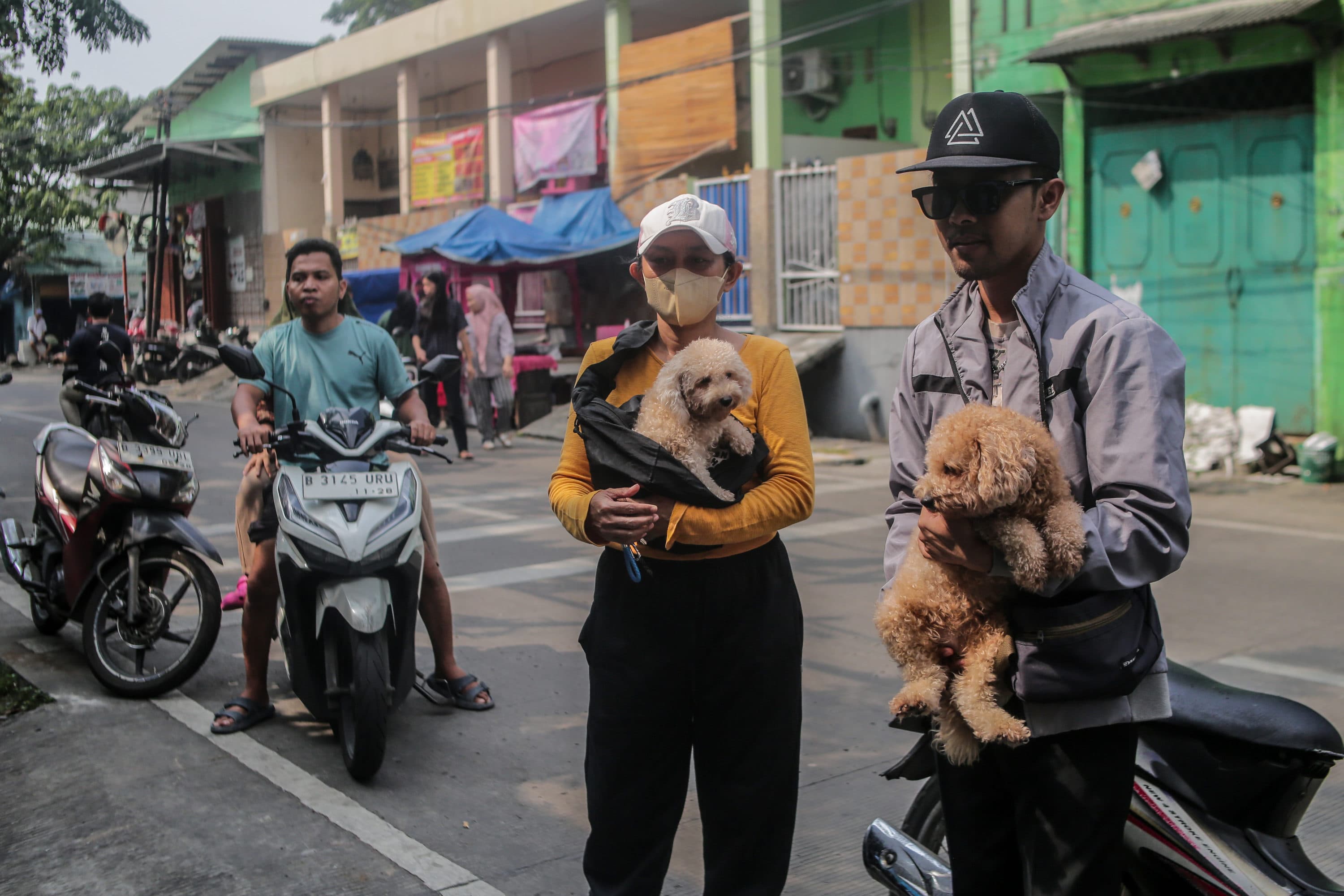 Cara Melatih Anjing agar Tidak Menggonggong Terus