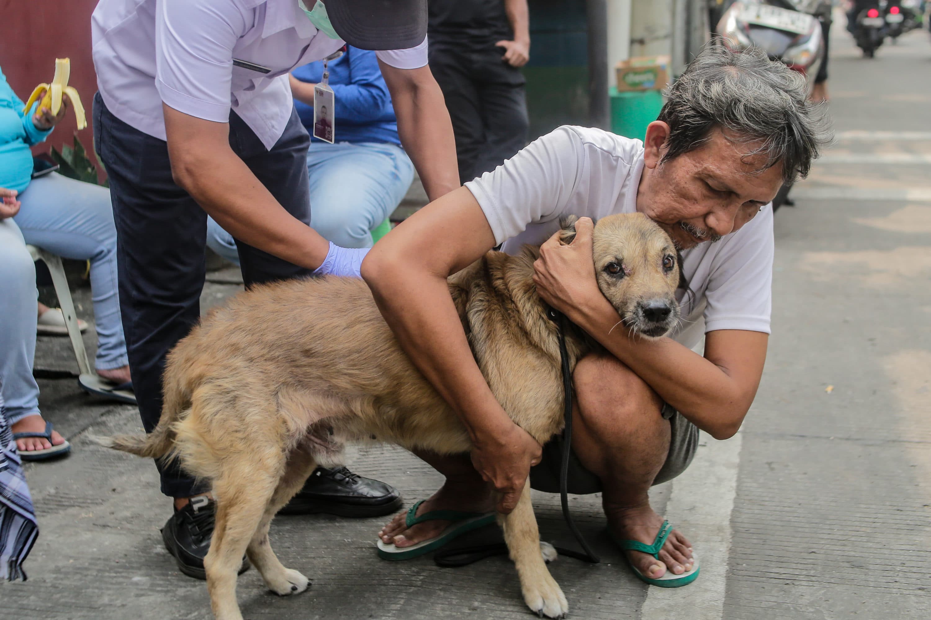 10 Tips Merawat Anjing di Kos agar Tetap Bersih, Sehat, dan Tidak Mengganggu Tetangga