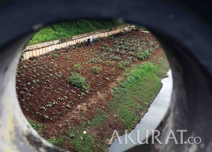 Ukuran 1 Bata Berapa Meter? Ini Hitungan Resmi Satuan Tanah di Pulau Jawa Tahun 2025
