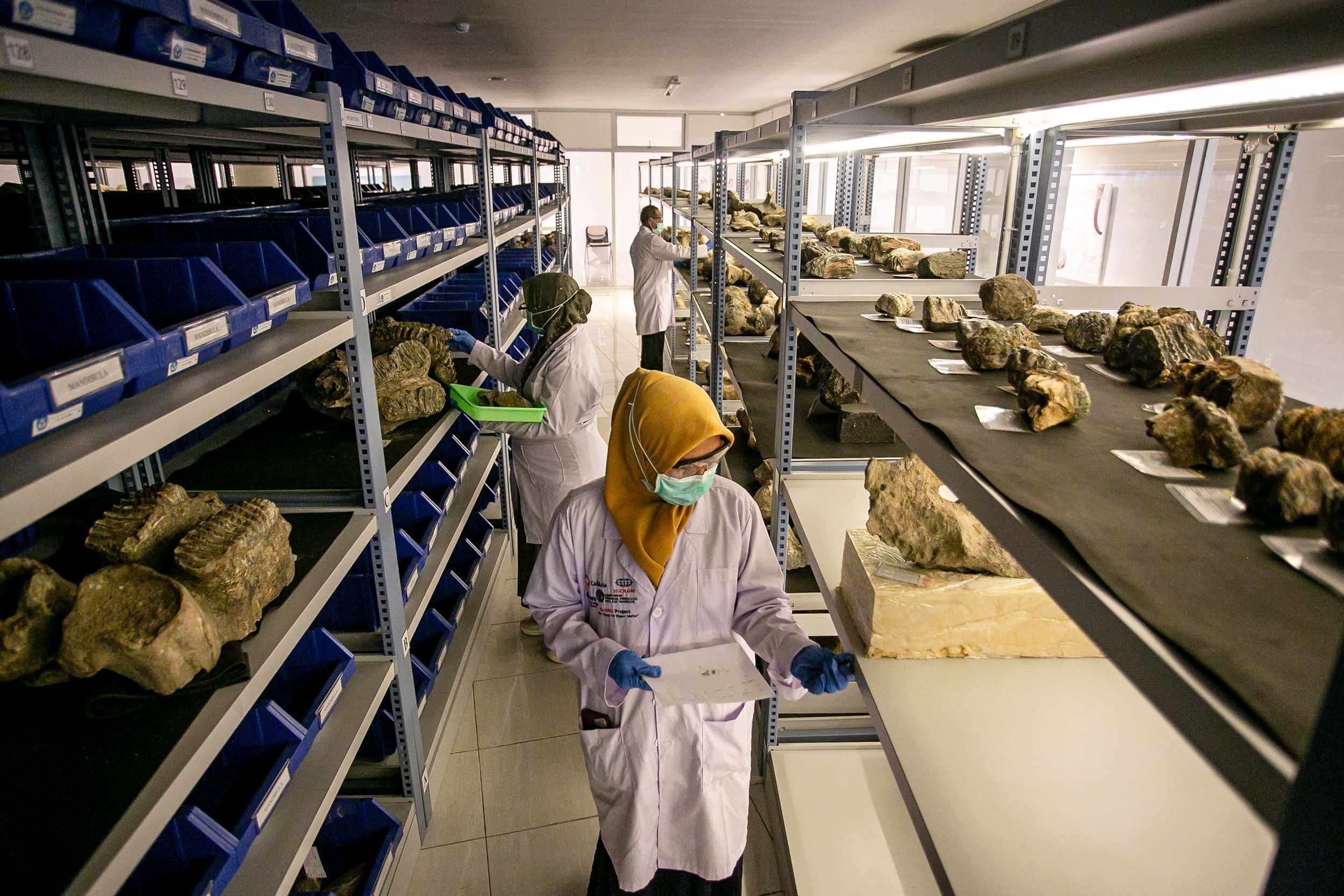 Apa yang Membuat Data dalam Teks Ini Bisa Dipercaya?