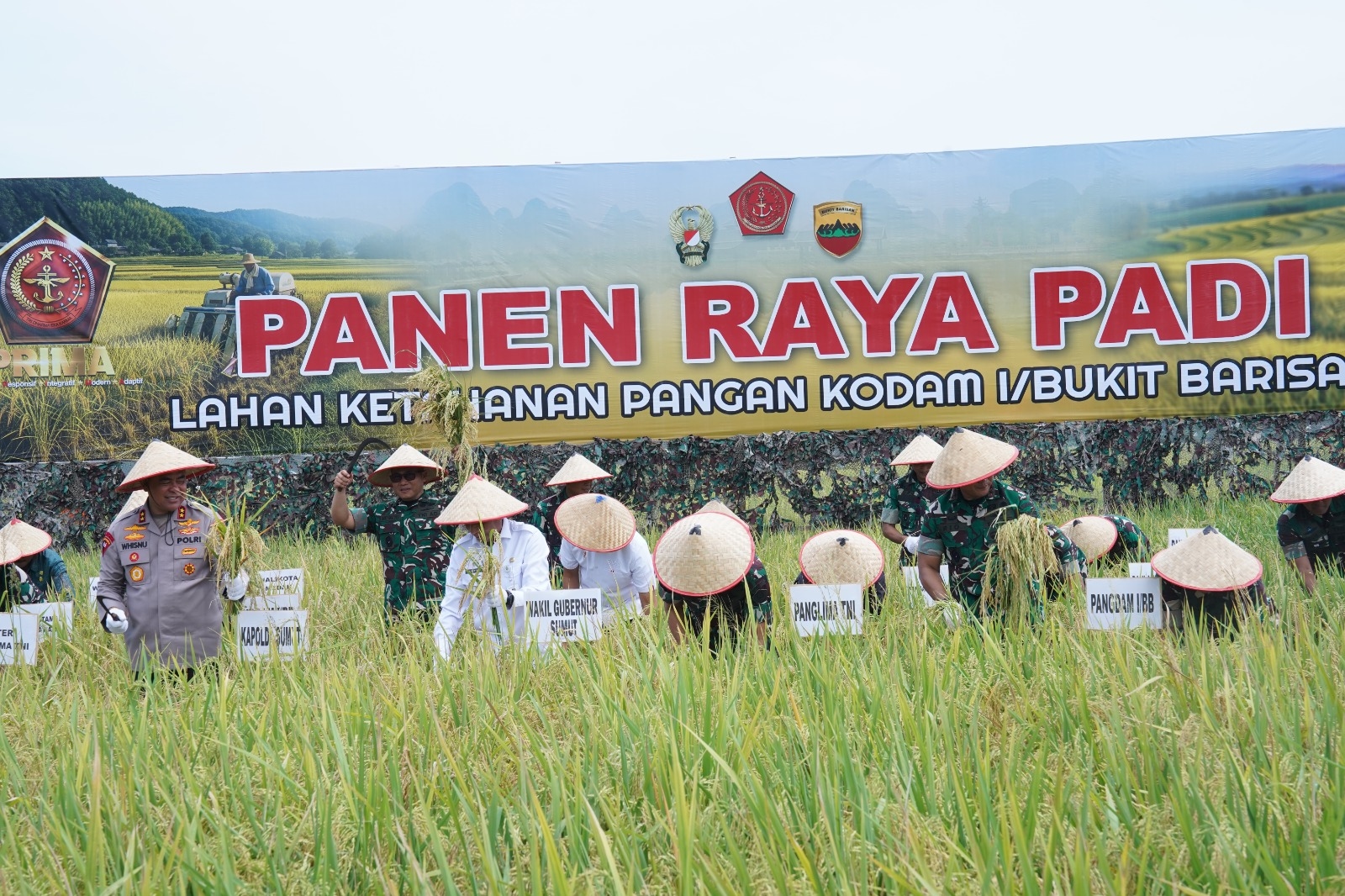 Panglima TNI Panen Raya Padi Seluas 80 Hektare, Dukung Program Ketahanan Pangan Nasional