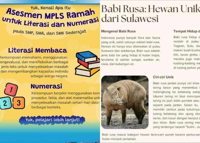 Kunci Jawaban Asesmen MPLS 2025: Apa yang Terjadi Jika Habitat Alami Babi Rusa Terus Terancam Oleh Aktivitas Manusia?