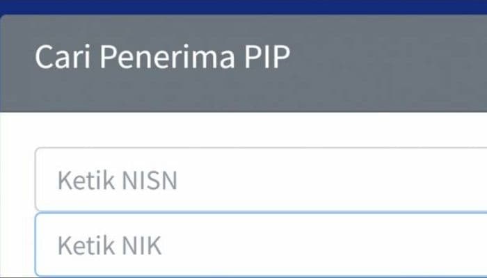 Cepat dan Mudah! Cara Cek PIP SD Online di pip.kemendikdasmen.go.id Terbaru