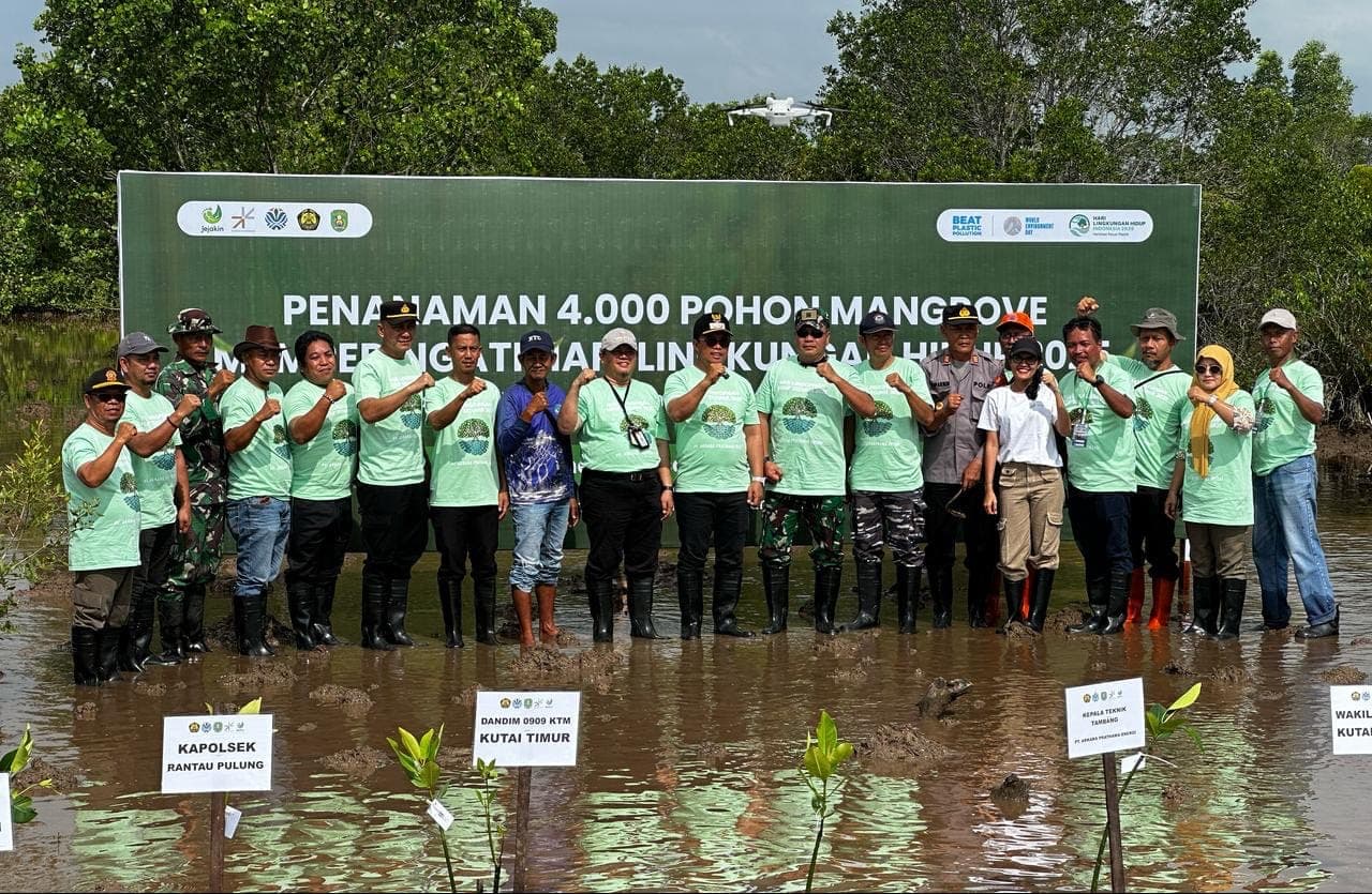 4.000 Mangrove Ditanam di Teluk Lingga, Gunakan Teknologi AI untuk Pantau Pemulihan Pesisir
