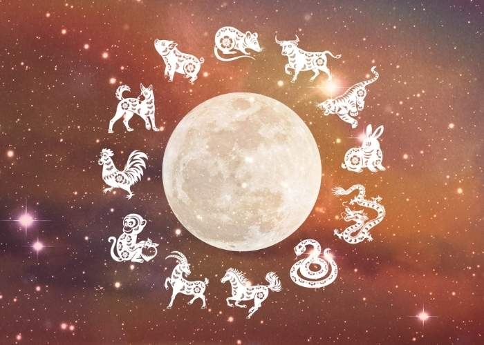 Ramalan Shio 29 Juli 2025: Nasib dan Peluang Setiap Shio