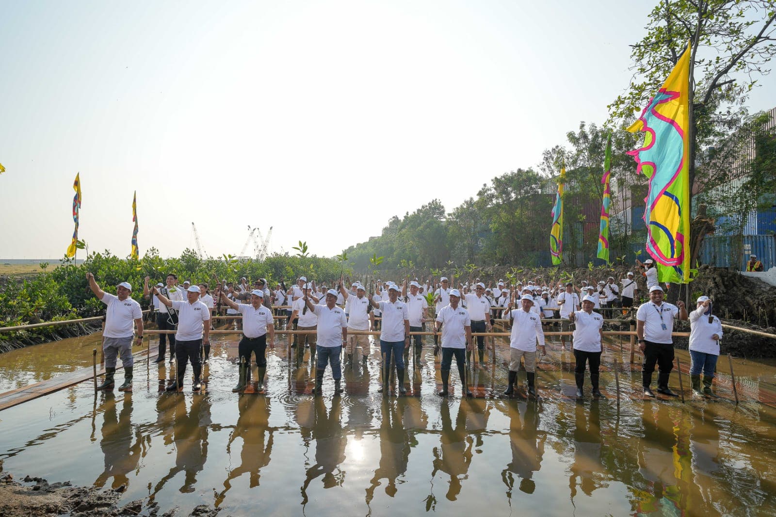 KCN Bakal Tanam Mangrove hingga 2.500 Meter di Pesisir Jakarta, Target Selesai di 2027