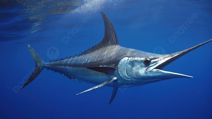 7 Hewan Tercepat di Dunia, Laju Mereka Beneran Ngebut!