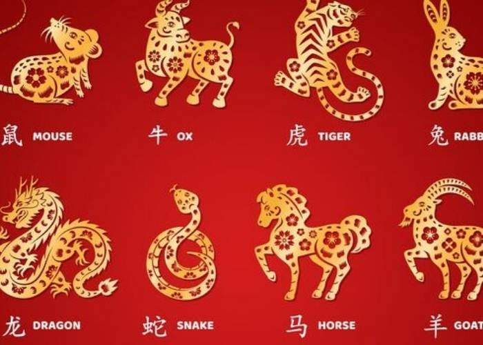 Ramalan Shio 4 Agustus 2025: Peruntungan Shio Tikus, Kerbau, Hingga Babi