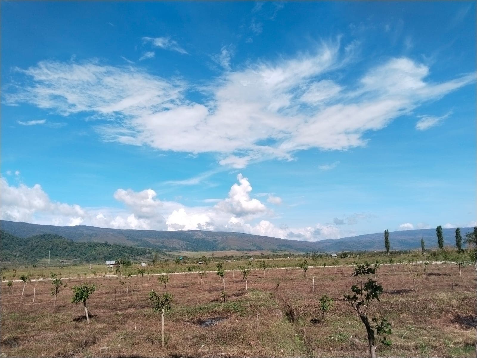 Semester II-2025, Total HPL Badan Bank Tanah Capai 34.000 Hektare