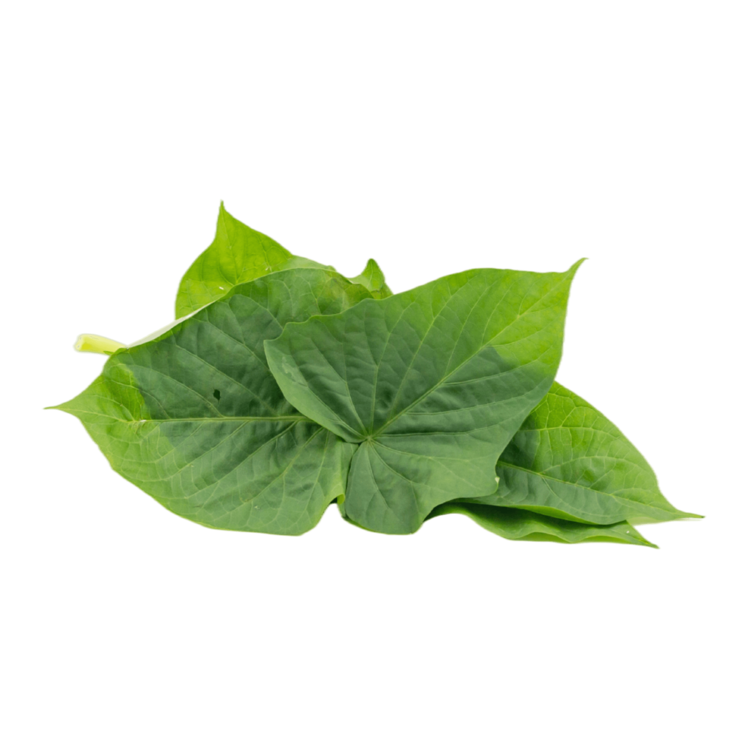 Daun Ubi Jalar, Sayur Murah Kaya Protein: Alternatif Pangan Lokal yang Terlupakan