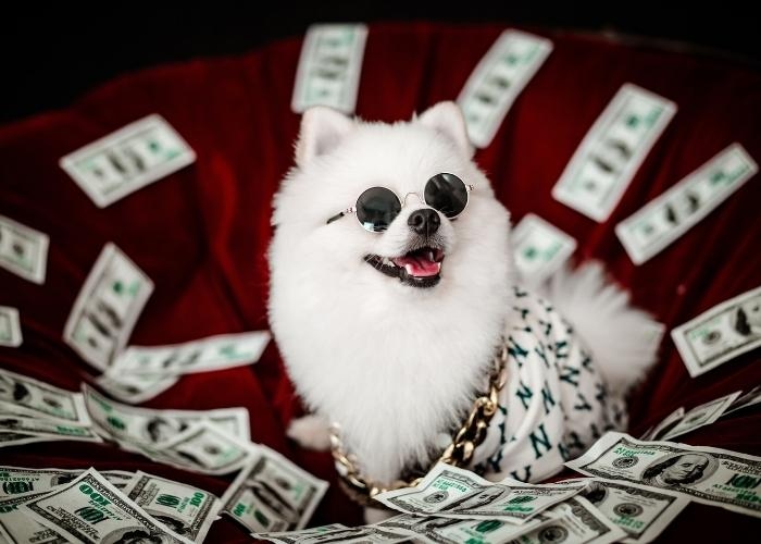 Ramalan Keuangan Zodiak 6 Agustus 2025: Pisces, Cancer, Virgo, dan Scorpio