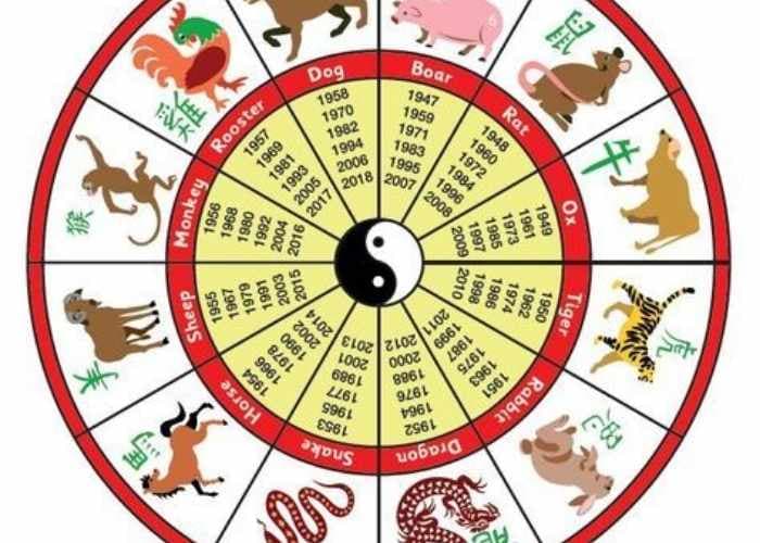 Ramalan Shio 14 Desember 2025: Intuisi Ular Menguat, Naga Dapat Peluang Besar