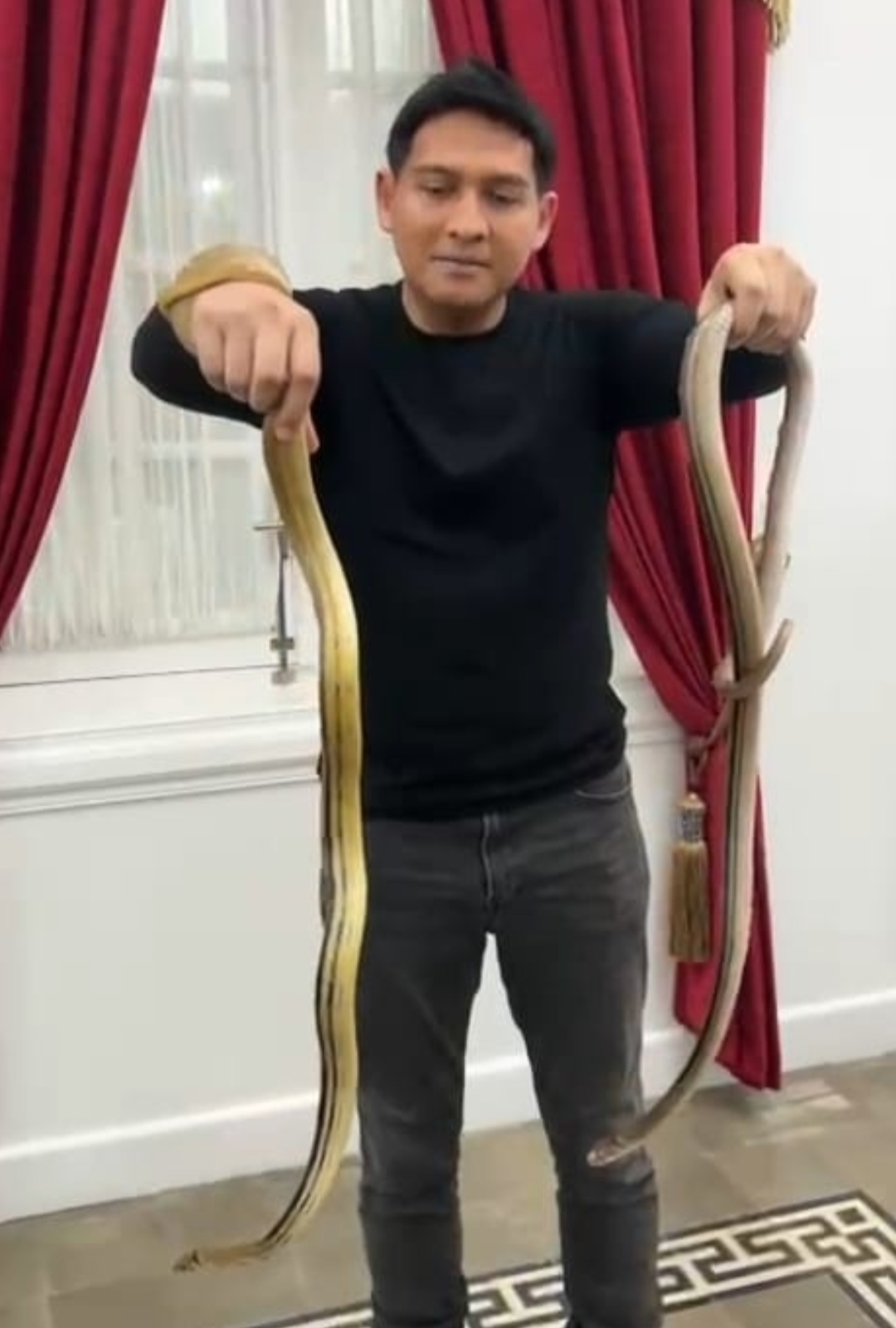 Gerakan Basmi Hama Tikus, Lucky Hakim Lepas Ribuan Ular ke Sawah