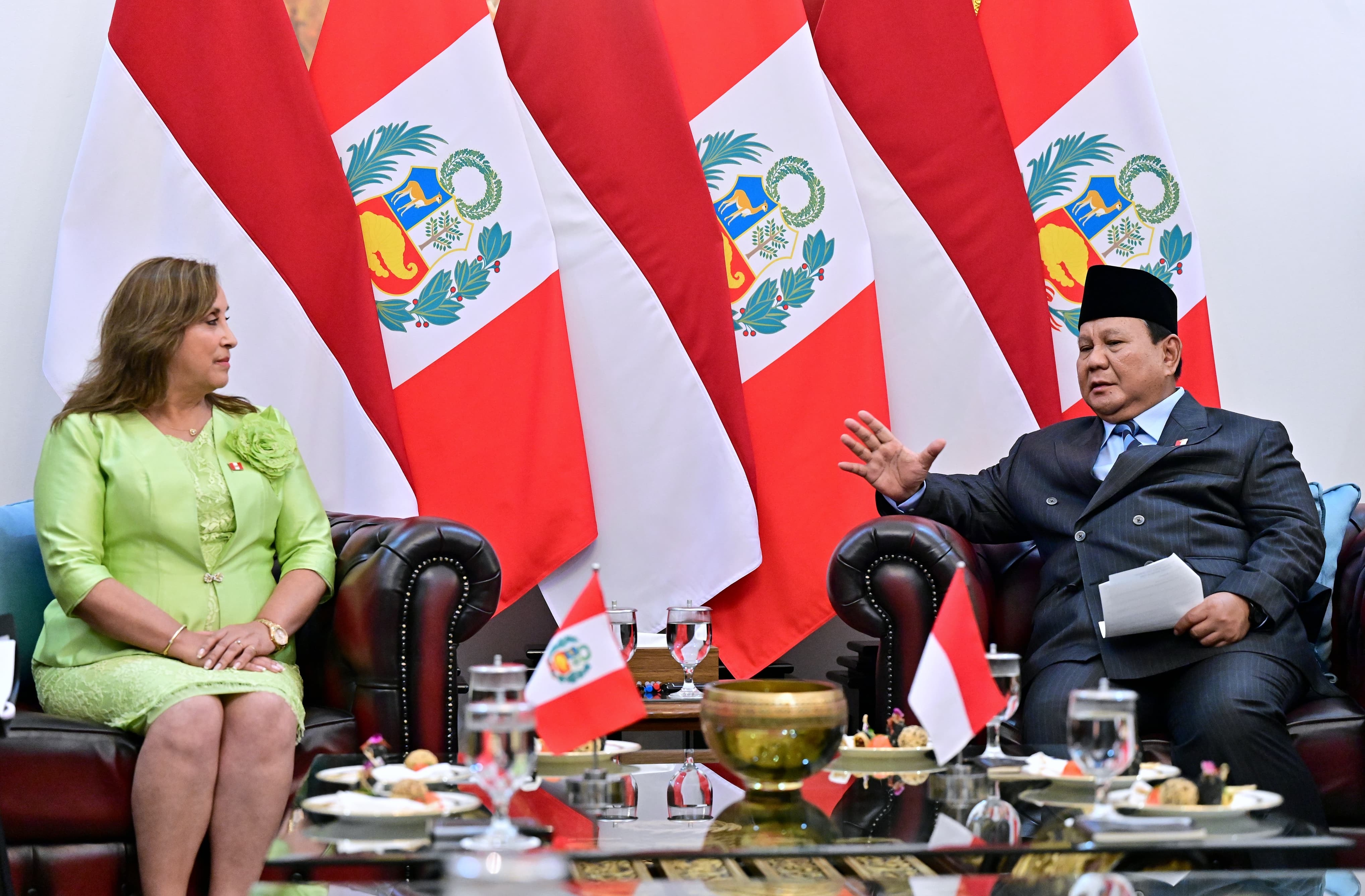 Prabowo Apresiasi Dukungan Peru terhadap Kemerdekaan Palestina: Kami Siap Kerja Sama