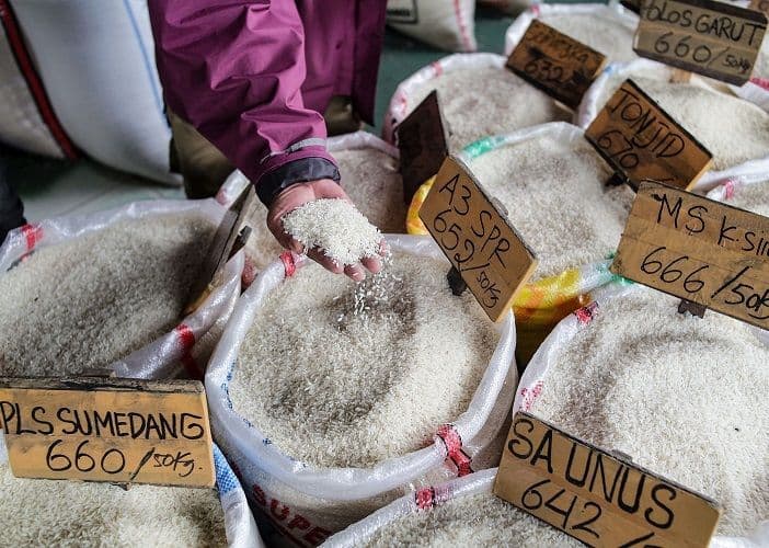 Kementan Temukan Beras Premium Palsu, Oplosan Capai 59 Persen