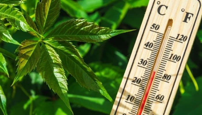 Perkiraan Cuaca Surabaya Hari Ini, 13 Agustus: Berawan Dominan, Waspada Hujan Pagi dan Malam!