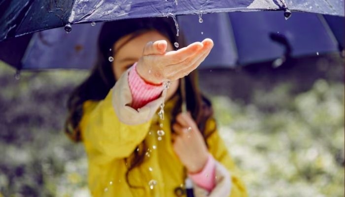 Prakiraan Cuaca Jakarta Hari Ini, Jumat 15 Agustus 2025: Cerah Berawan Sepanjang Hari