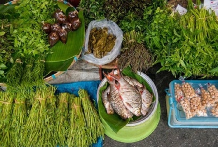 Ketahanan Pangan Adalah Benteng Terakhir Menghadapi Perubahan Iklim