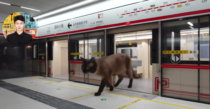 Totalitas YouTuber Ini Manjakan Kucing Bikin Netizen Terkesima