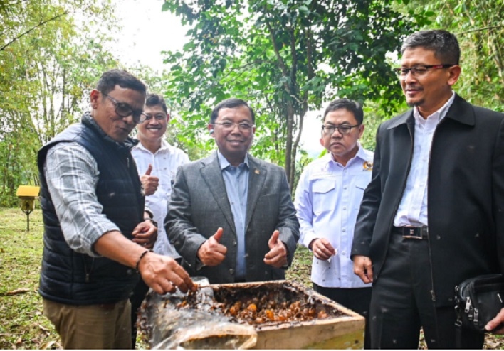 BAKN DPR Desak Perhutani Perbaiki Tata Kelola, Tindak Lanjuti Temuan BPK
