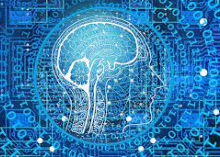 5 Orang Paling Pintar di Dunia, IQ Mereka Bikin Kamu Terkejut