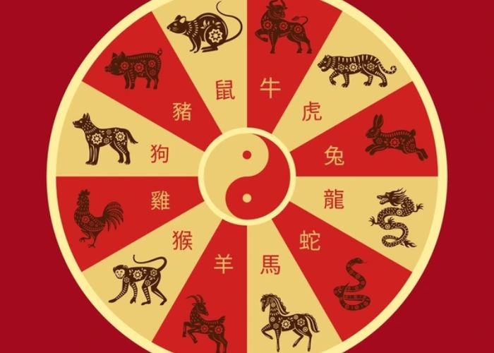 Ramalan Shio 8 September 2025: Waspada untuk Naga, Keberuntungan untuk Kelinci