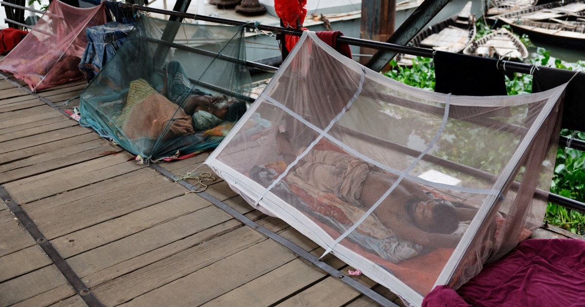 Krisis Dengue dan Chikungunya di Bangladesh: Ribuan Kasus, Rumah Sakit Kewalahan