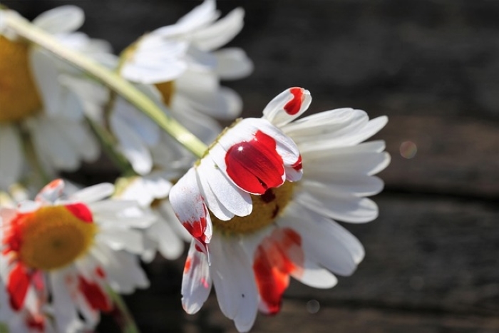 Korban Eksploitasi Seksual Camptown Layangkan Gugatan Bersejarah terhadap Militer AS