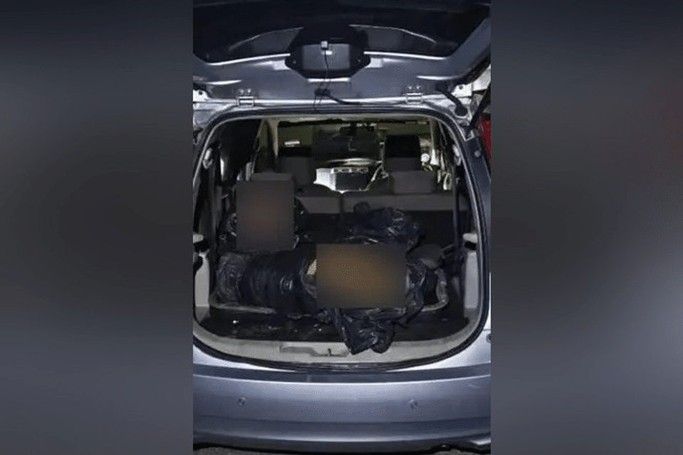 Tiga Pria Ditangkap di Johor, Bangkai Harimau Malaya Ditemukan dalam Mobil