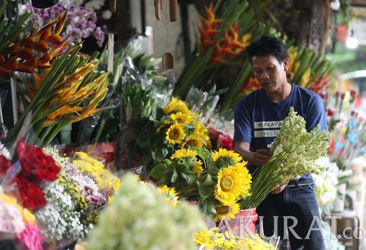 Mengenal Polinasi: Proses Penyerbukan dan Pentingnya untuk Tanaman