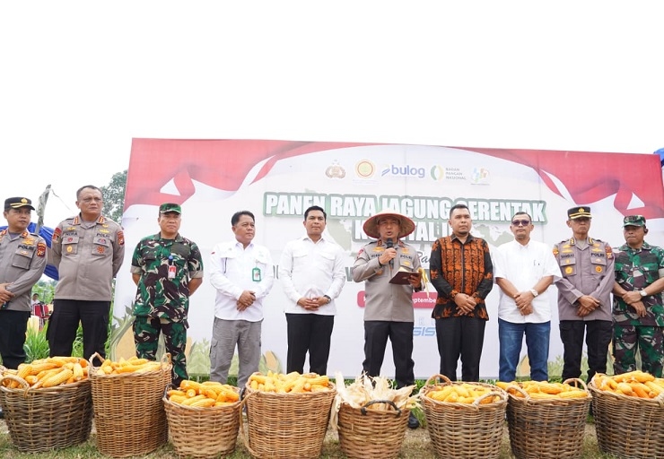 Dukung Swasembada Pangan, Kapolda Riau Pimpin Panen Raya Jagung Serentak Kuartal III di Pekanbaru
