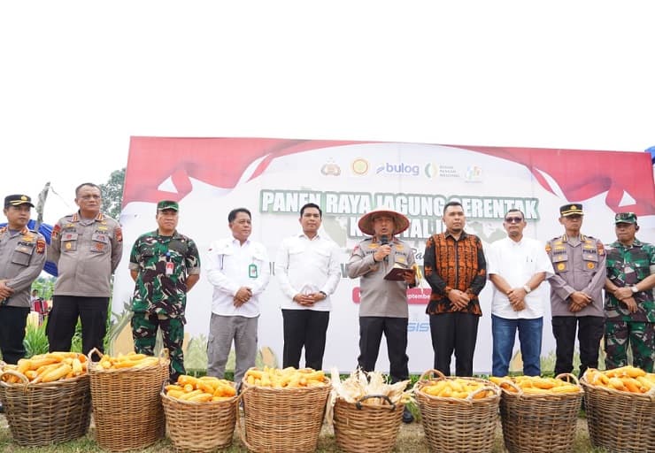Dukung Swasembada Pangan, Kapolda Riau Pimpin Panen Raya Jagung Serentak Kuartal III di Pekanbaru