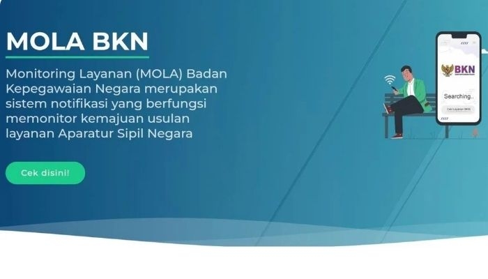 Cek NIP PPPK Paruh Waktu 2025 di Mola BKN: Link, Cara, dan Solusi Jika Gagal Cek
