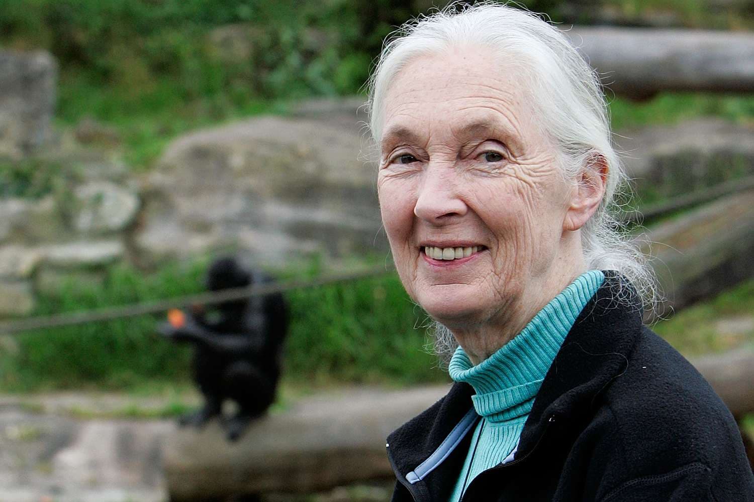 Jane Goodall Meninggal Dunia di Usia 91 Tahun: Kisah, Penemuan, dan Warisannya