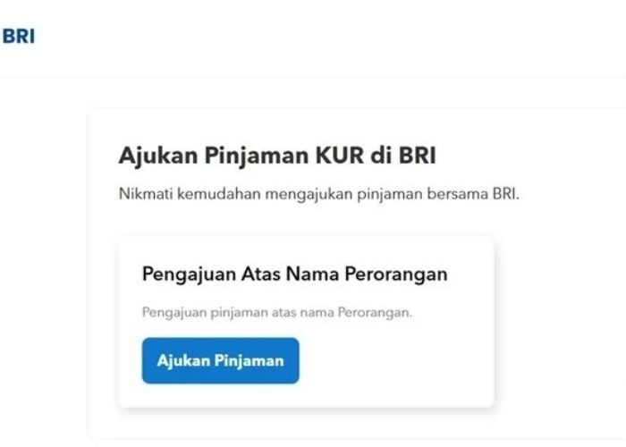 Tabel Pinjaman KUR BRI 2025 hingga Rp100 Juta, Cek Syarat Lengkapnya Sekarang!
