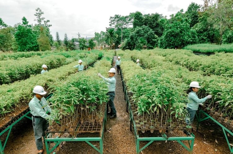 MIND ID Kokohkan Fondasi ESG untuk Hilirisasi dan Masa Depan Berkelanjutan Indonesia