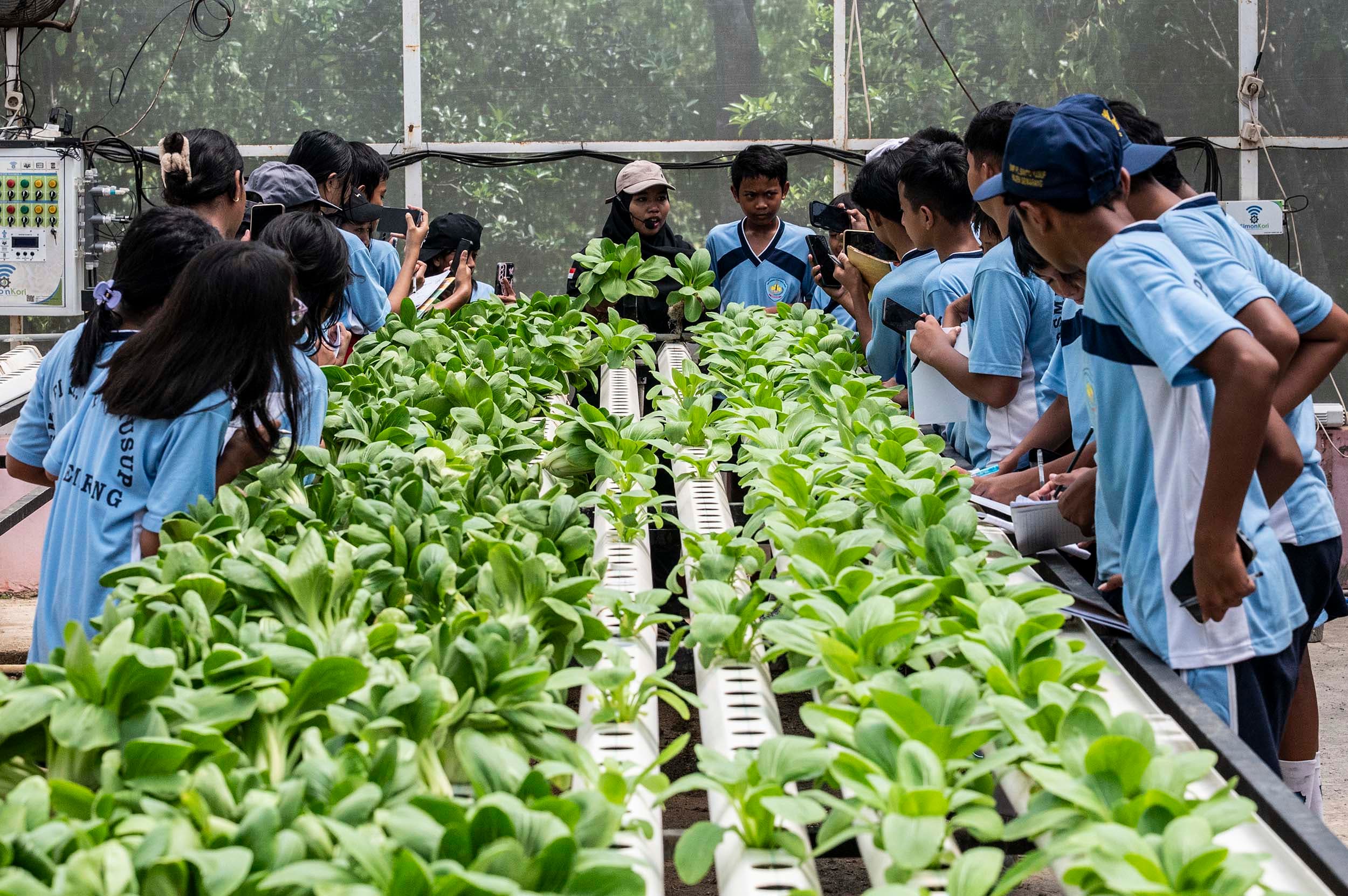 Rekomendasi SMP Swasta Terbaik di Yogyakarta untuk Pendidikan Berkualitas