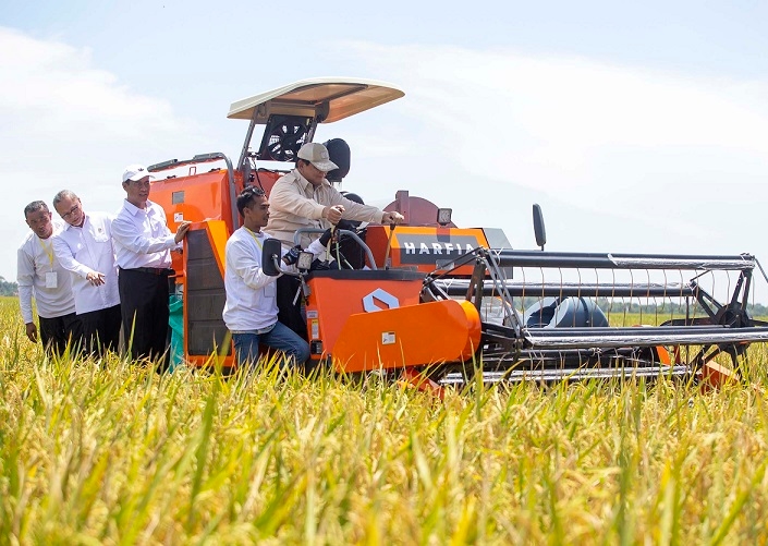 Kaleidoskop Pangan 2025: Produksi Naik, Impor Beras Ditekan