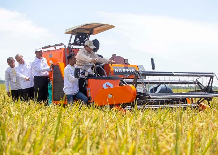 Kaleidoskop Pangan 2025: Produksi Naik, Impor Beras Ditekan