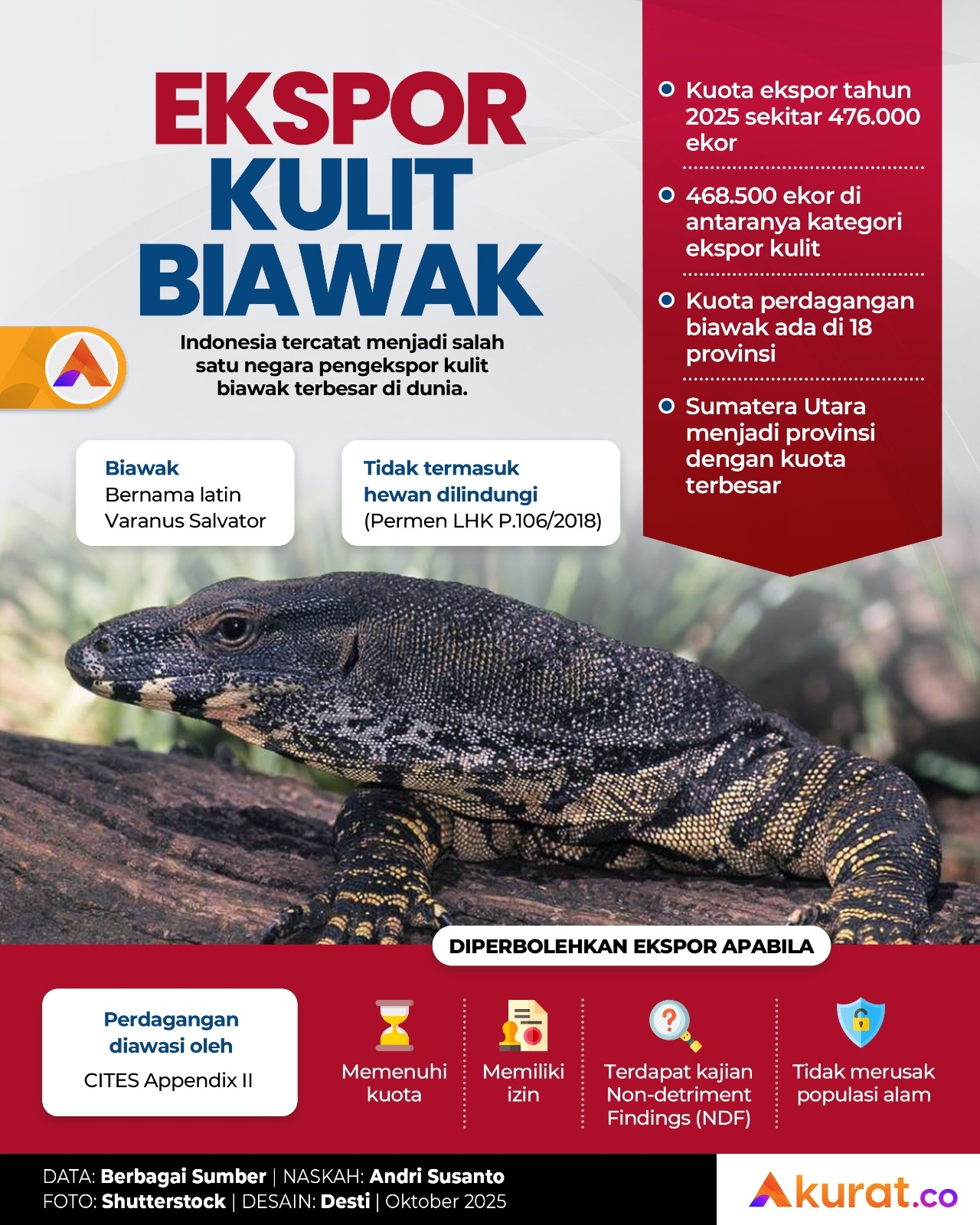 Ekspor Kulit Biawak