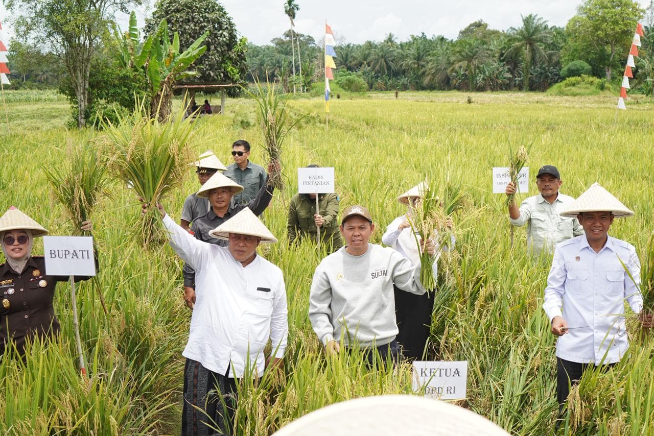 Sultan B. Najamudin Turun ke Sawah, Serahkan Alsintan dan Benih Jagung untuk Petani Bengkulu