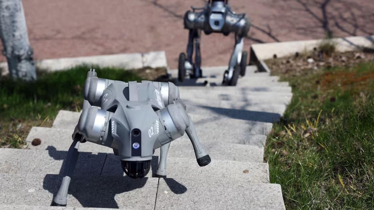 Cina Kembangkan Anjing Robot dan Drone AI untuk Operasi Militer Modern
