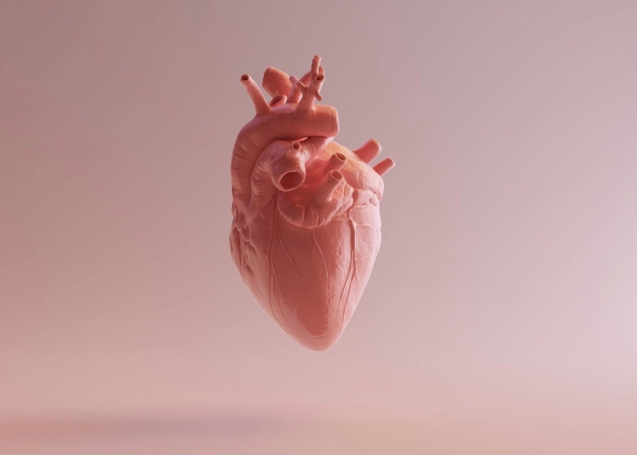 Hindari Serangan Jantung! Cara Agar Pembuluh Darah Tidak Tersumbat