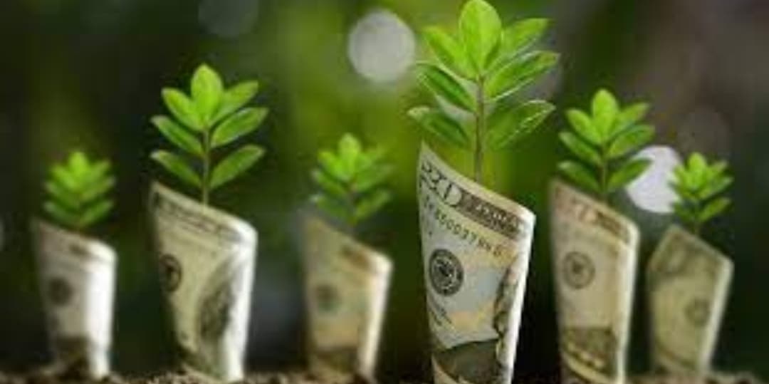 Greenwashing dan Bahaya di Balik Citra Ramah Lingkungan Palsu