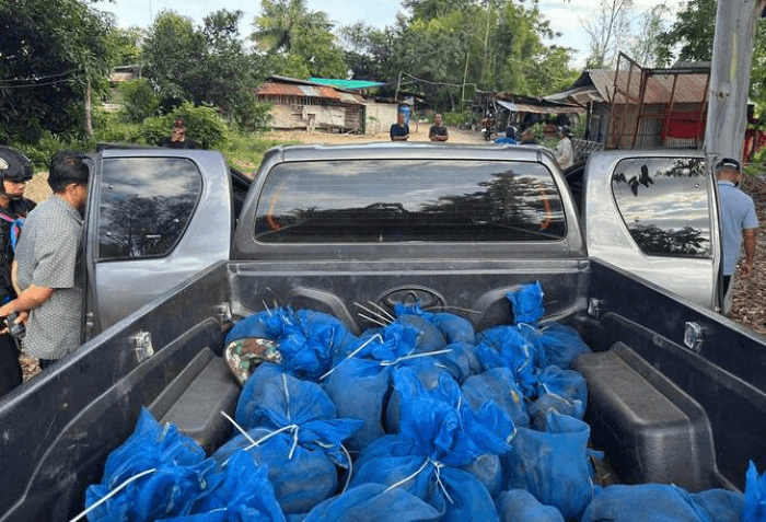 Dua Pria Ditangkap Saat Selundupkan 81 Monyet Makaka Dekat Perbatasan Kamboja