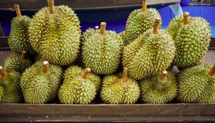 Perbedaan Durian Indonesia dan Malaysia: Rasa, Tekstur, Harga, dan Kualitas yang Wajib Kamu Tahu