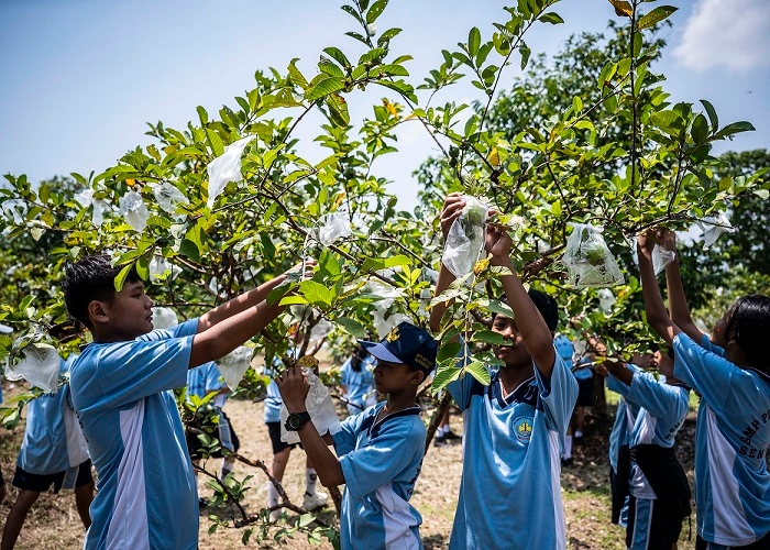 Deretan SMP Swasta Terbaik di Manado