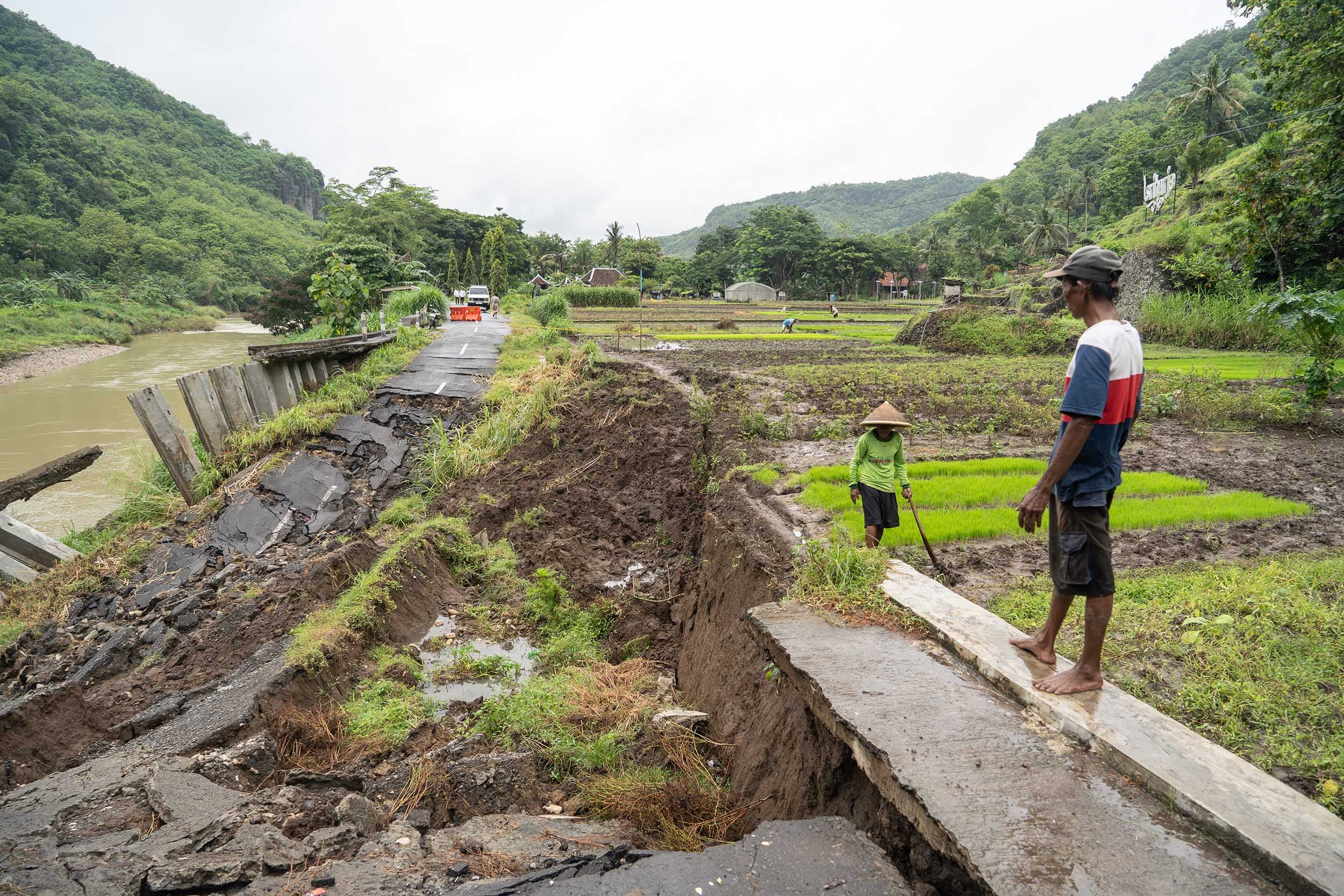 Apa Itu Ekosistem: Pengertian, Unsur Penyusun, dan Ragamnya
