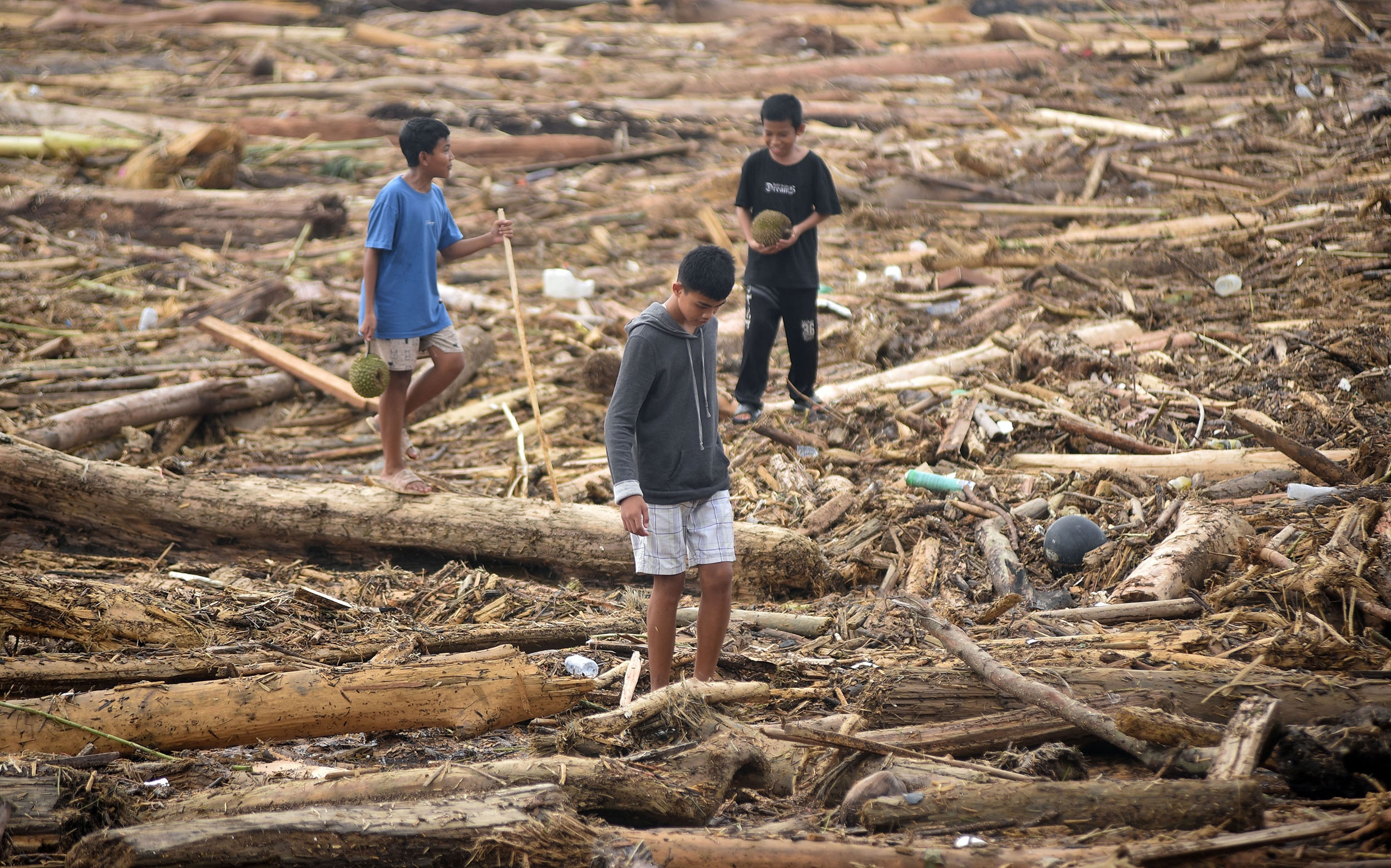 Apa Hubungan Deforestasi dengan Meningkatnya Banjir Bandang? Ini Penjelasan Lengkapnya